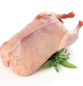 A premium Grade A whole frozen duck, perfectly prepared for wholesale distribution.